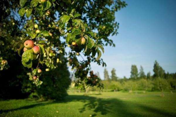 Ahlstroemin Ruukki Noormarkku 3* Pori